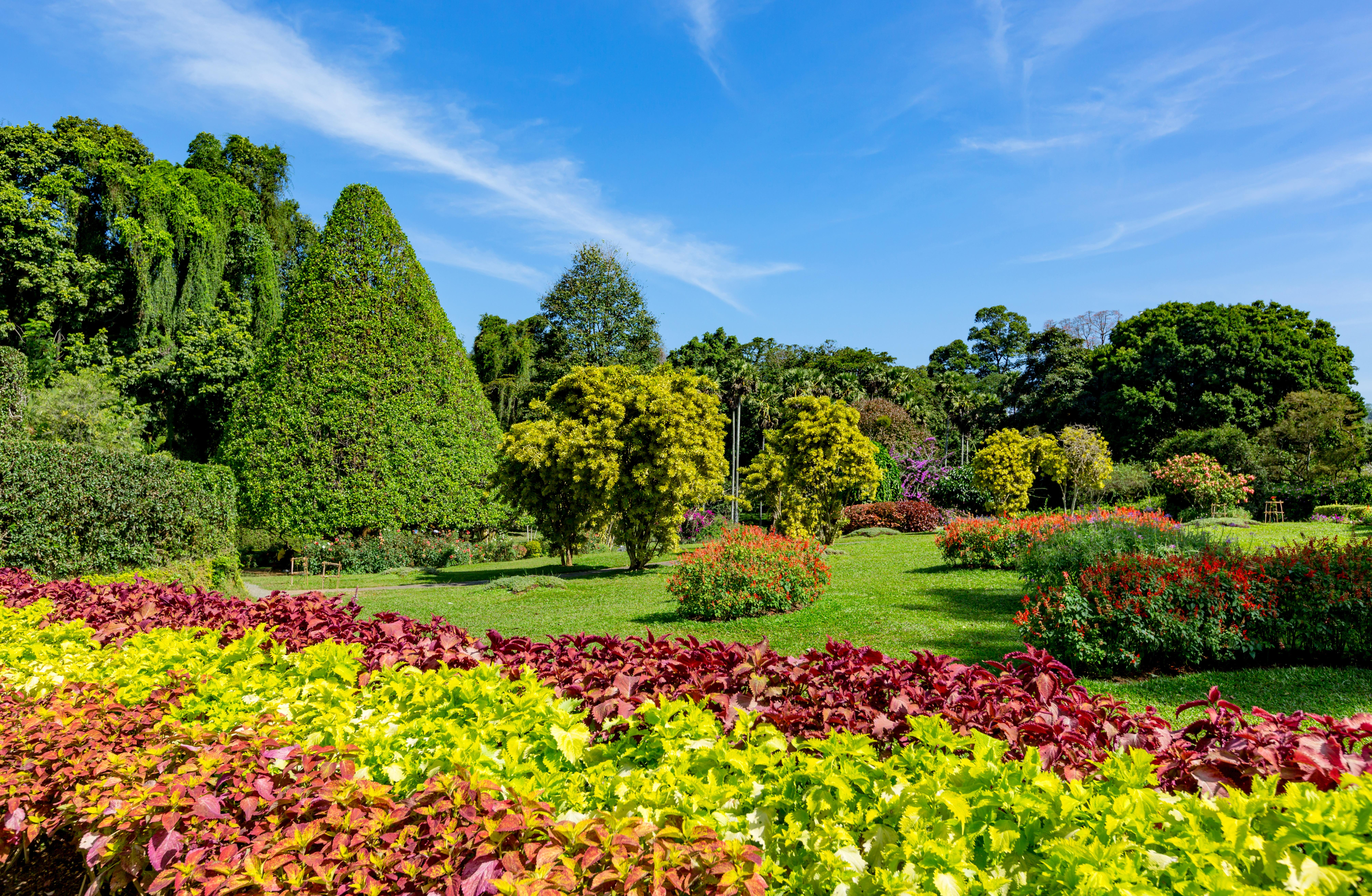 Botanical Gardens & Parks