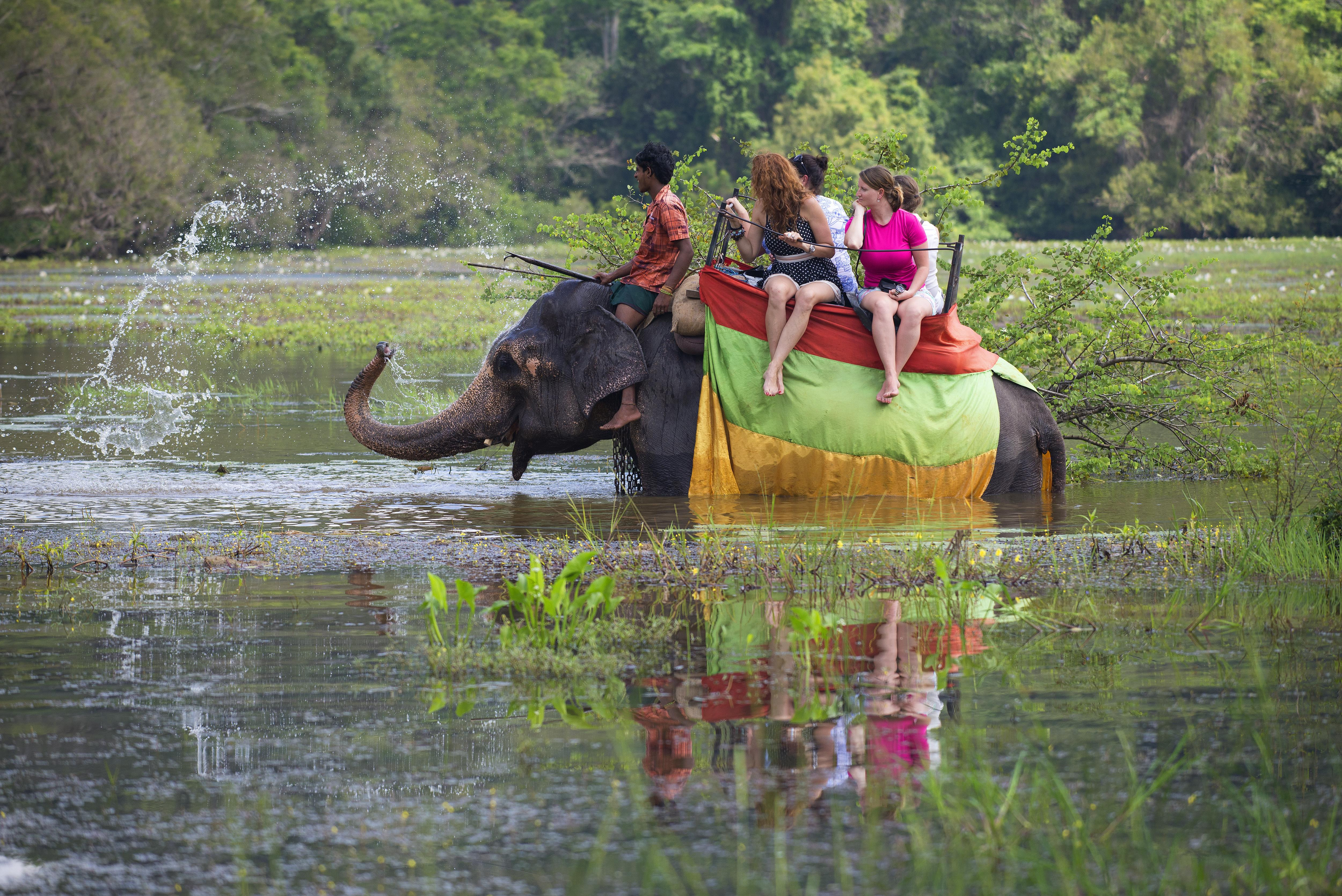 Animal Encounters