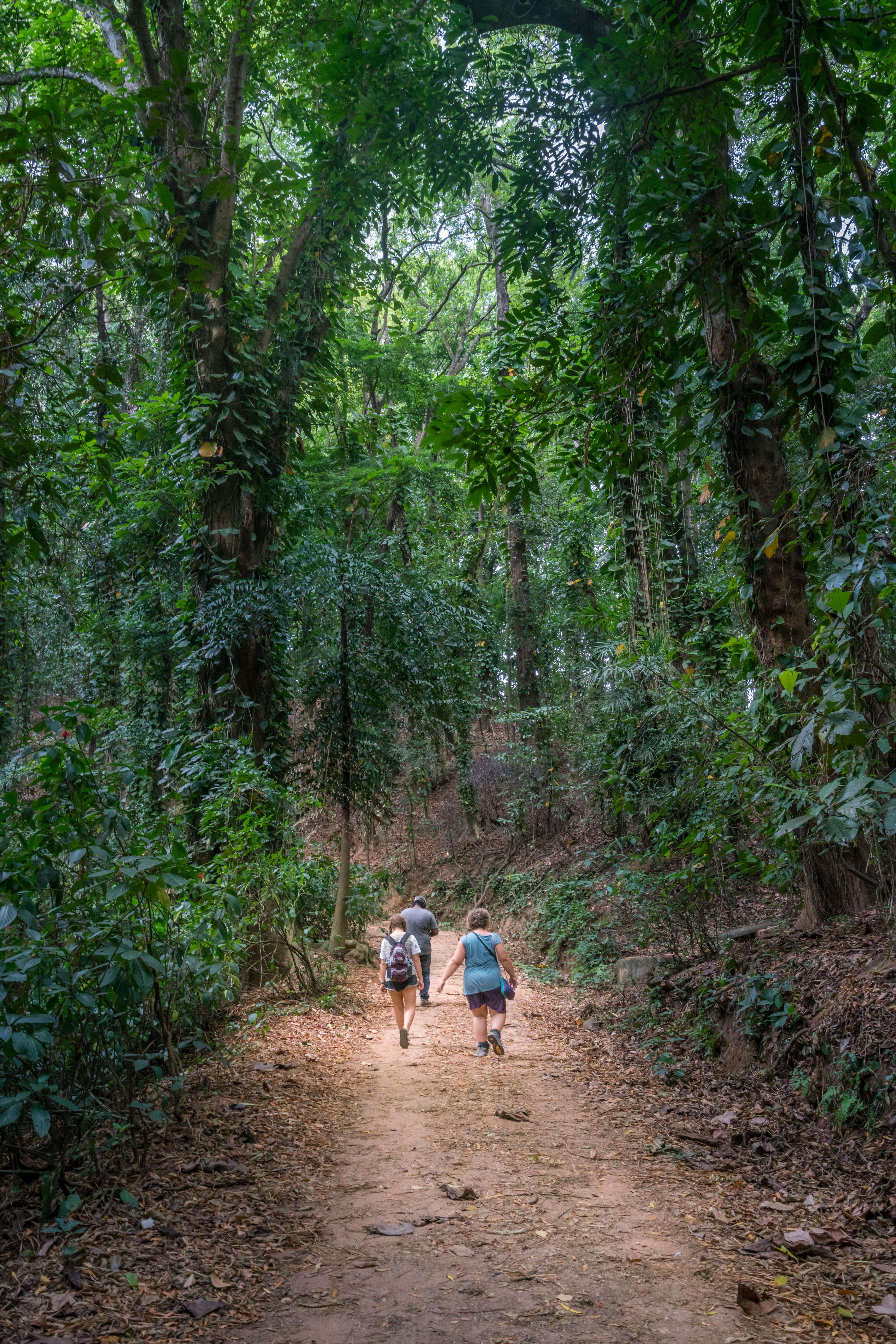 Rainforests & Nature Reserves