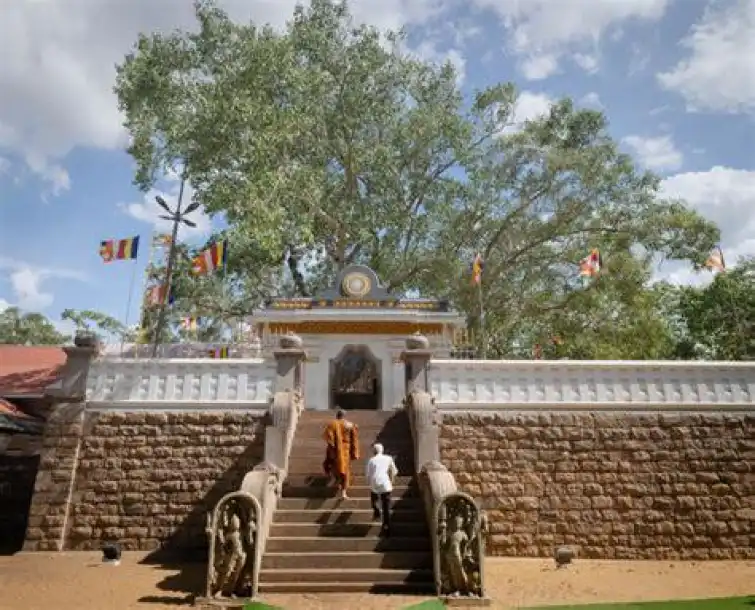 Bodhi Temple