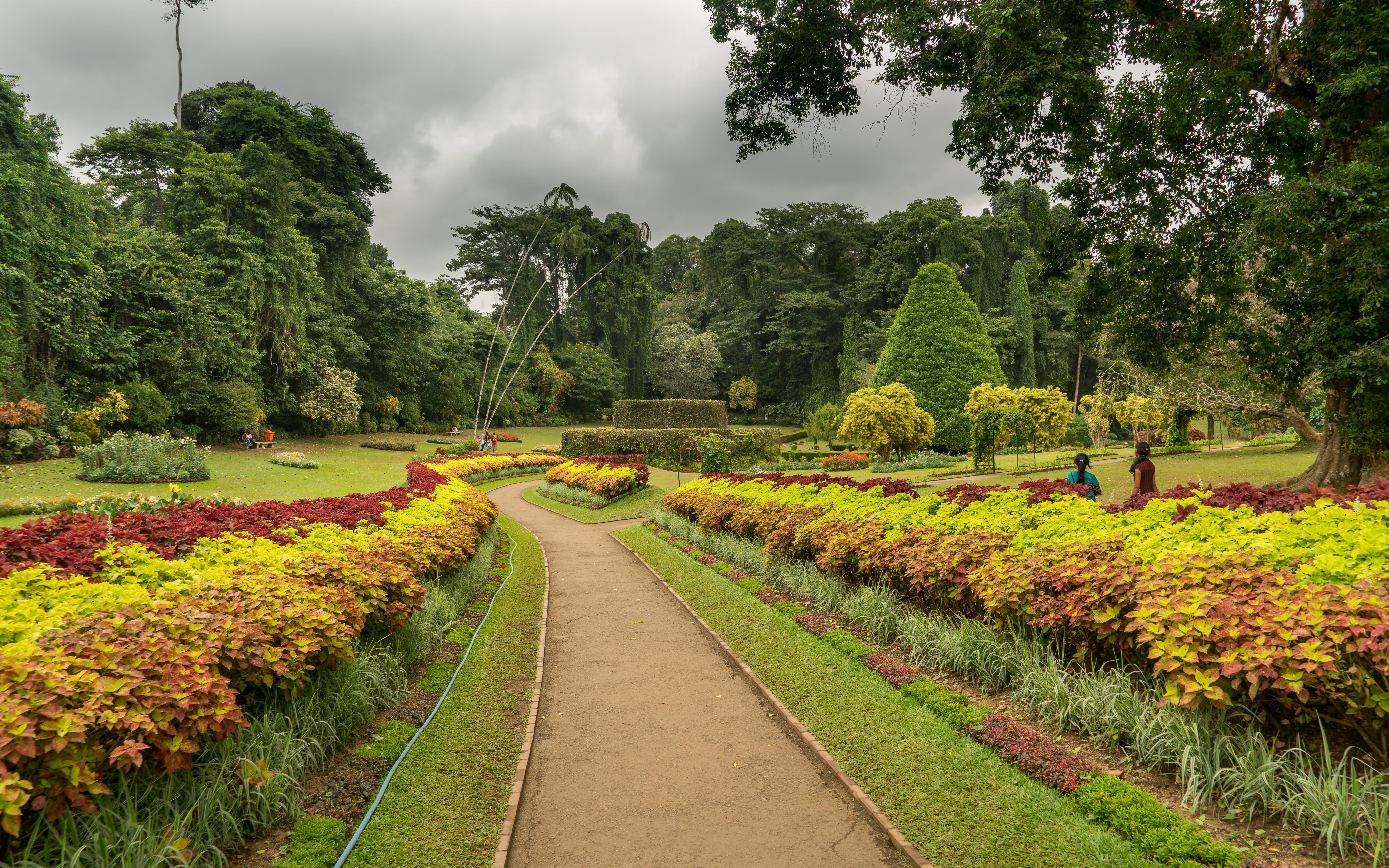 Peradeniya Royal Botanical Gardens