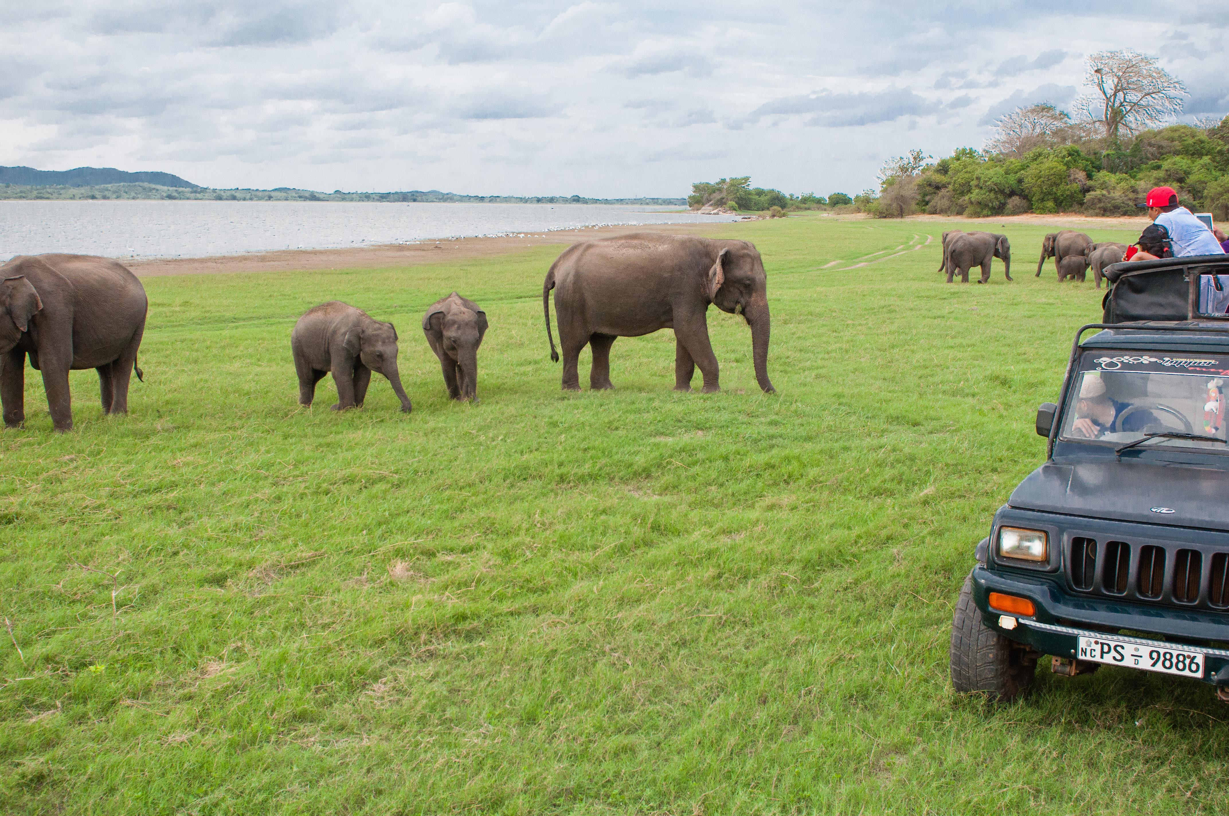 Wasgamuwa Sri Lanka