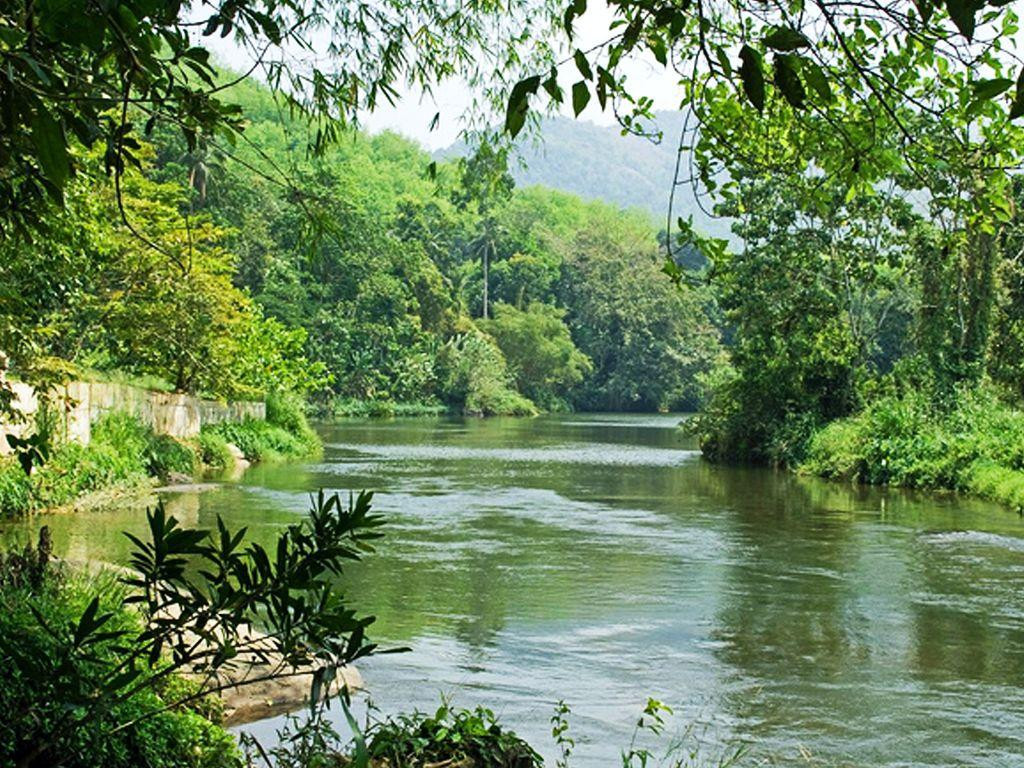 Kitulgala Rainforest