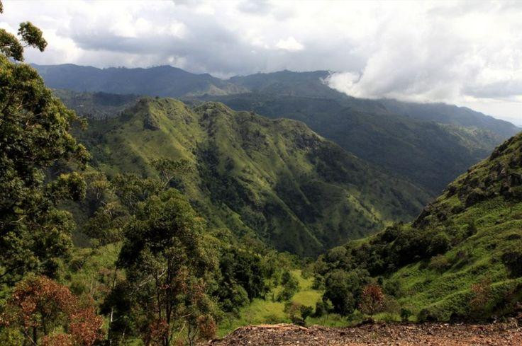Ella Gap