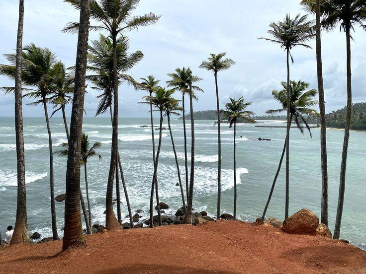 Coconut Tree Hill Mirissa
