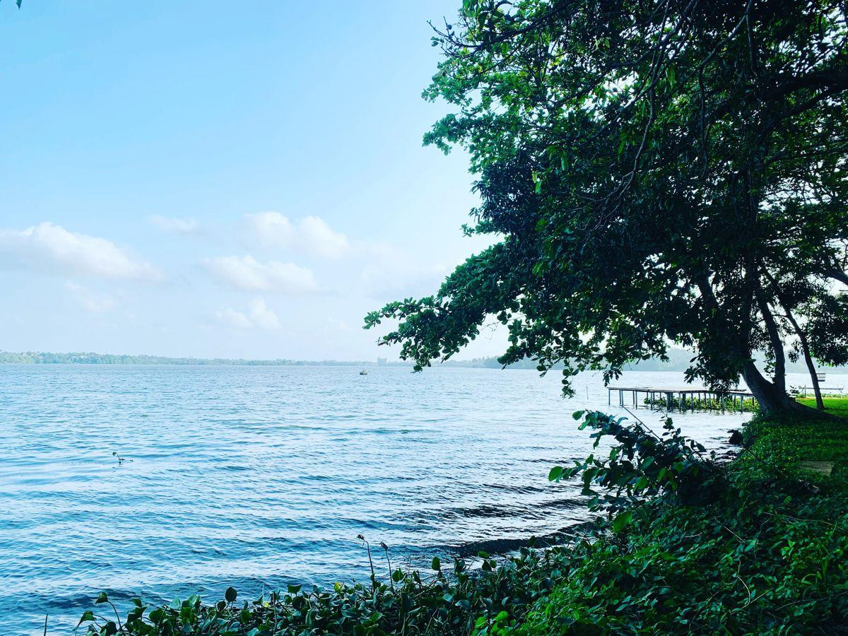 Bolgoda Lake
