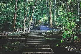 Bodhinagala Forest Hermitage