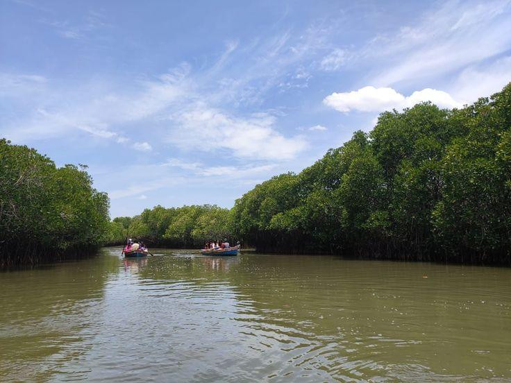 Walawe River Safari