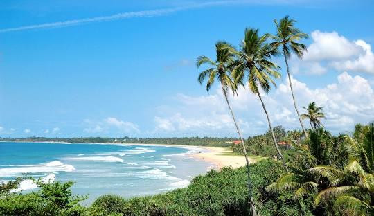 Bentota