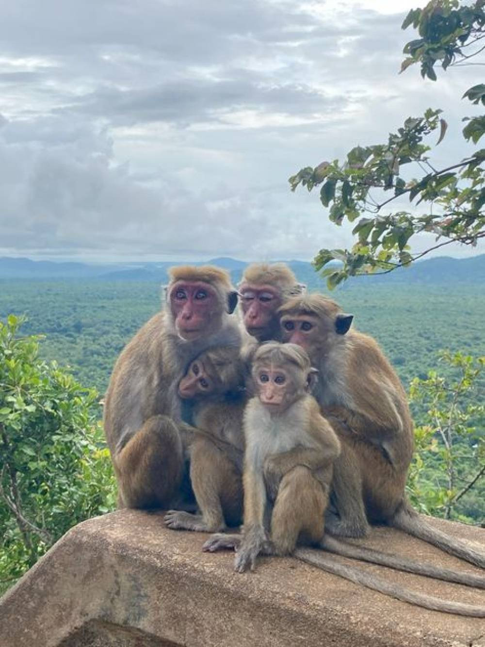 The Land of Natural Lakes and Wildlife – Wilpattu National Park