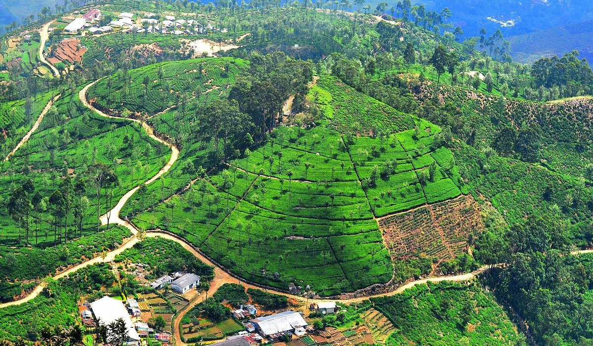 Haputhale